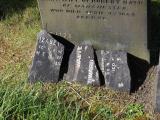 image of grave number 572998